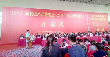 廣西通靈大峽谷閃耀2019年國家級博覽會，助推旅游品牌升級