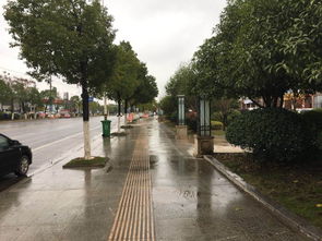 譚橋街道多措并舉，著力規(guī)范二手車交易市場經(jīng)營秩序