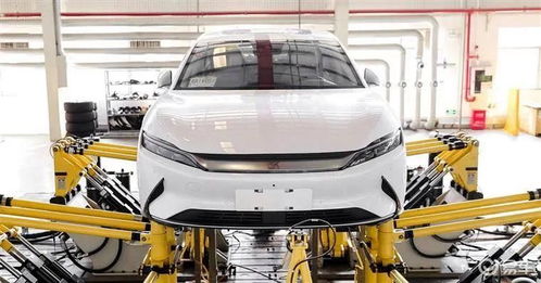 新能車每日快訊 比亞迪與特斯拉動(dòng)態(tài)更新，10月19日二手車交易市場經(jīng)營觀察